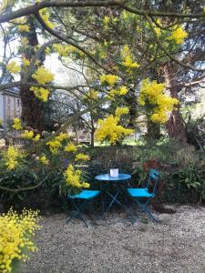 uma mesa e duas cadeiras debaixo de uma árvore com flores amarelas em Le mas Normand em Ver-sur-Mer