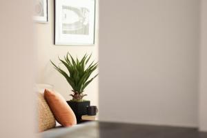 Foto dalla galleria di Sapore di Sori Extreme a Sori