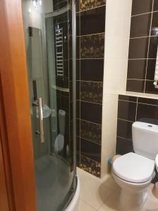 a bathroom with a toilet and a glass shower at Willa U Kantora in Murzasichle