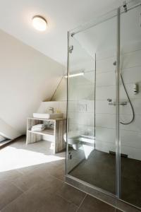 a bathroom with a glass shower and a sink at Berghaus Freiburg - Appartement Hotel auf dem Schauinsland in Oberried