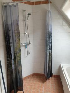 a shower with a shower curtain in a bathroom at Vakantiehuis Doelestee in Balk