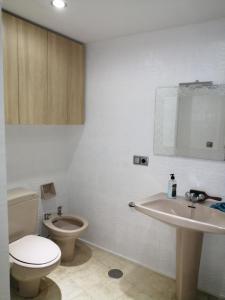 La salle de bains blanche est pourvue de toilettes et d'un lavabo. dans l'établissement Piso en el centro de Granada con garaje incluido gratis, à Grenade