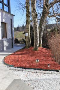 a pile of red leaves on the side of a sidewalk at Gästehaus Willaringen in Rickenbach