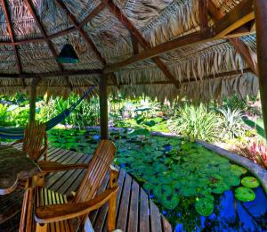 Vrt ispred objekta Hotel Banana Azul - Adults Only