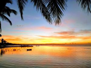 Foto de la galería de The Boat House en Boca Chica