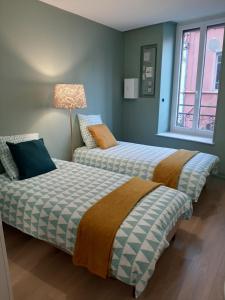 2 nebeneinander sitzende Betten in einem Schlafzimmer in der Unterkunft LOUHANS Les Petites Arcades avec ses deux appartements coté seille et coté jardin in Louhans