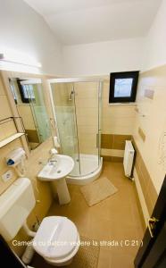 a bathroom with a toilet and a sink and a shower at Pensiunea Camena in Piatra Neamţ +49 photos