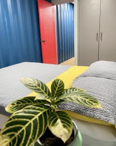 a plant in a pot sitting next to a bed at Nomada Republic Hotel Panama City in Panama City