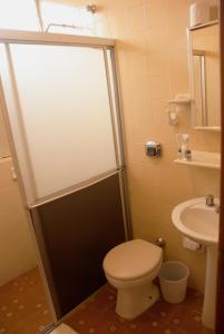 a bathroom with a toilet and a sink at Hara Palace Hotel in Curitiba