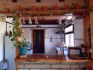 a kitchen with a table and some plants at Las Rosas Alojamiento Turistico in Villa La Angostura +1 photo