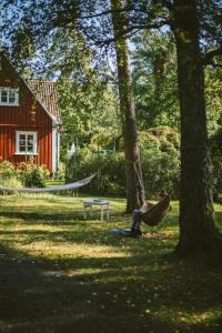 una persona en una hamaca en un patio con una casa en Vallåsens Värdshus STF Hostel, en Våxtorp