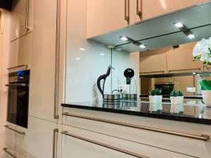 a kitchen with a counter top with plants at Breathtaking Waterfall Apartment nr 3 in Lauterbrunnen