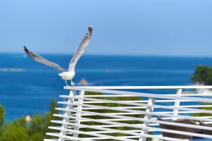 a bird standing on top of a white fence at Hotel Albatros Plava Laguna in Poreč