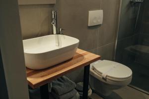 ein Badezimmer mit Waschbecken und Toilette in der Unterkunft Cabana Berg in Someşu Rece