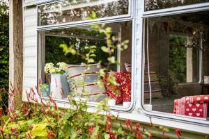 Petham的住宿－The HoneyPot，窗户,带枕头和鲜花