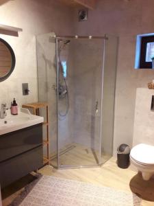 a bathroom with a shower with a sink and a toilet at Chata Lisa in Stronie Śląskie