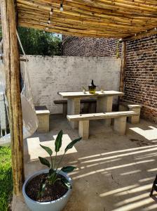 ein Picknickplatz mit einem Tisch und einer Topfpflanze in der Unterkunft El Bicho Negro Hostel in Concordia