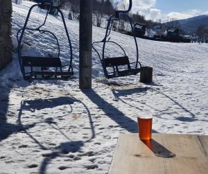Príroda v okolí horskej chaty