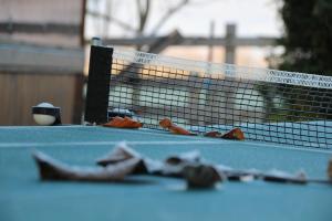 a tennis court with a net and some leaves on it at Sóvidék Guesthouse in Praid