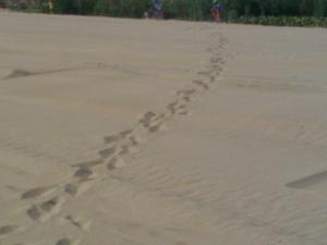 Fotografie z fotogalerie ubytování Villa Costanzo al mare v destinaci Avola