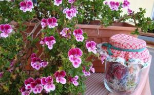 un vaso seduto su un tavolo vicino ai fiori di Nuovo Cortile Palermo Bed and Breakfast a Palermo