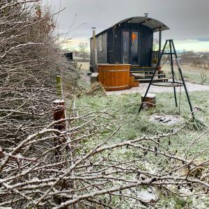 um pequeno edifício preto no meio de um campo em Westfield House Farm em Rothbury