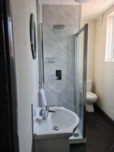 a bathroom with a shower and a sink and a toilet at Royal Albion Walton in Walton-on-the-Naze