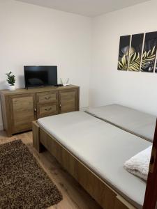 1 dormitorio con 1 cama y TV en un armario en Várlak Apartman, en Dinnyés