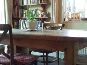 einem Holztisch mit zwei Stühlen und einer Pflanze darauf in der Unterkunft Field Farm Cottage B&B in Reading + 24 Fotos