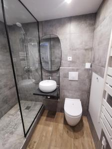 a bathroom with a toilet and a shower and a sink at Villas Chapu in Fontainebleau +19 photos