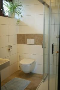 a bathroom with a toilet and a glass shower at Haus Maria Holzöster in Franking