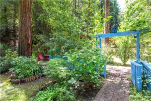 a garden with a blue gate and some plants at Blue Cherry! Redwoods! BBQ Grill! Fire Table! Ping Pong! Fast WiFi!! Dog Friendly! in Guerneville