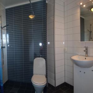 uma casa de banho com um WC e um lavatório em Villa Nore em Borgholm