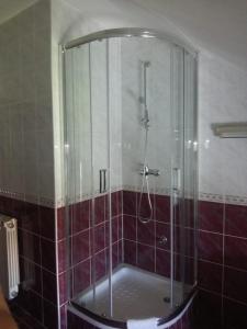 a shower with a glass door in a bathroom at Smx Apartement in Prelog