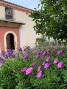 a bunch of purple flowers in front of a house at La dimora di Titiro in Cetraro