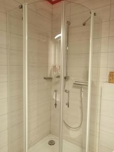 a shower with a glass door in a bathroom at App 350 mit Brockenblick in Braunlage