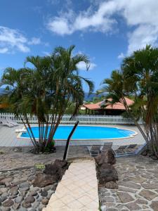 a swimming pool with palm trees and a resort at Gîtes BB in Bouillante