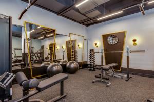 Fitness centrum a/nebo fitness zařízení v ubytování Cosy Duo Loft - self check-in