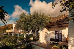 a white house with a bench and a tree at Tenuta Del Poggio Antico in Ischia