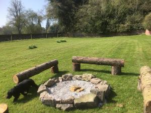 Penbedw Uchaf Estate - Rural retreats, tennis外面的花园
