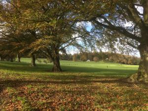 Penbedw Uchaf Estate - Rural retreats, tennis外面的花园