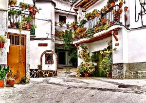 an alley with potted plants on the balconies of a building at Casa en Busquistar in Busquístar