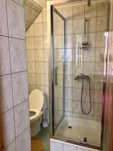 W łazience znajduje się toaleta i przeszklony prysznic. w obiekcie U Sobali w mieście Groń