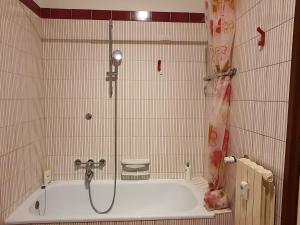 a bathroom with a shower and a bath tub at Centre Home in Rapallo
