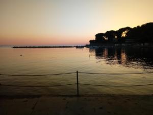 a sunset over a body of water with a net at Caletta Beach in Castiglioncello