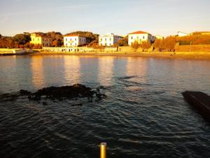 a group of ducks swimming in a body of water at Caletta Beach in Castiglioncello