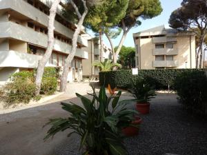 a building with trees and plants in front of it at Caletta Beach in Castiglioncello