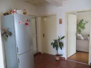 a white refrigerator in a room with a plant at Apartment Batricevic in Ulcinj