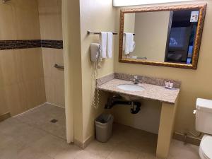 格伦代尔Chariot Inn Glendale - Pasadena的带水槽、镜子和马桶的浴室