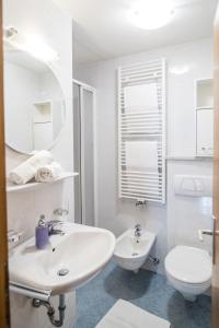 Koupelna v ubytování Apartments Heidenberger Fienili
